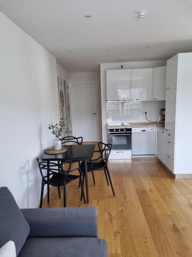 Ella'S Lounge - Besonders Geniessen Apartamento Singen Exterior foto